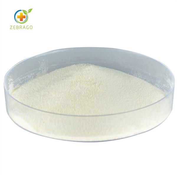 Nootropics Aniracetam Powder CAS 72432-10-1 Aniracetam