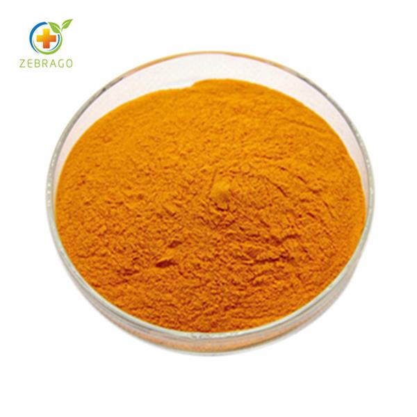 Turmeric Extract
