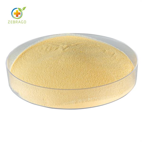 Natural Lycium Chinense Fruit Extract